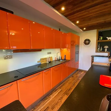 Duplex Elegant Au Coeur De Avec Parking Et Grande Terrasse - Fr-1-733-176 Apartment *